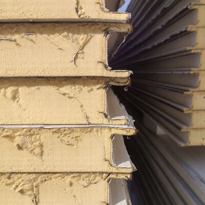 Qualität  Smart White Mushroom Cultivation Container/Smart Shelter with auto setted/PU sandwich panels usine