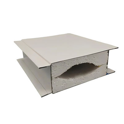 Feuerdichte und isolierte, anpassbare Wandplatten für Reinräume