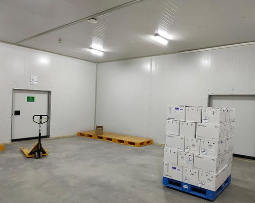 Feuerdichtes B1/B2 Polyurethan-Kühlraum-Panel für isolierte, sichere und sichere Lagerung