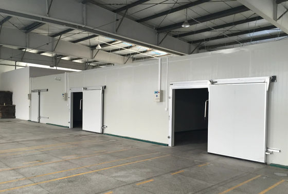 200kpa+ Druckfestigkeit Kaltraum PU-Panel 100/150/200/250mm
