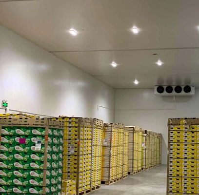 Anpassungsfähiges Kaltraum-PU-Panel hohe Druckfestigkeit 200kpa und Länge anpassungsfähig für eine optimale Kühlleistung