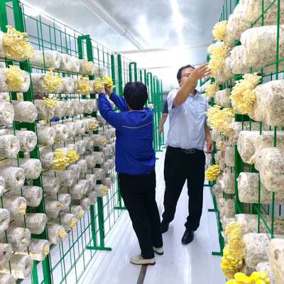 Innovatives Design für den Anbau intelligenter Pilzbehälter