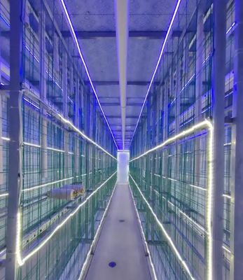 Pilzzucht-Containerfarm mit geringem Wartungsaufwand und Fernüberwachung in Standard 20-Fuß- oder 40-Fuß-Containern