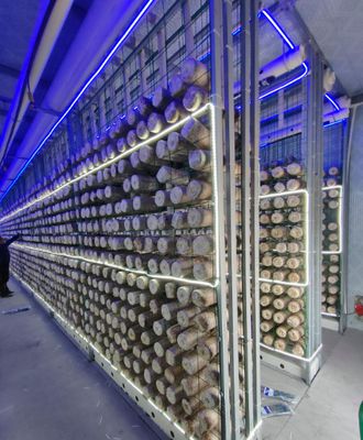 Pilzzucht-Containerfarm mit geringem Wartungsaufwand und Fernüberwachung in Standard 20-Fuß- oder 40-Fuß-Containern