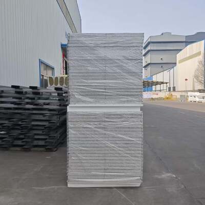 Feuer- und wasserdichtes Sandwichpaneel für Reinräume mit anpassbarer Dicke für Umgebungen mit hoher Sauberkeit